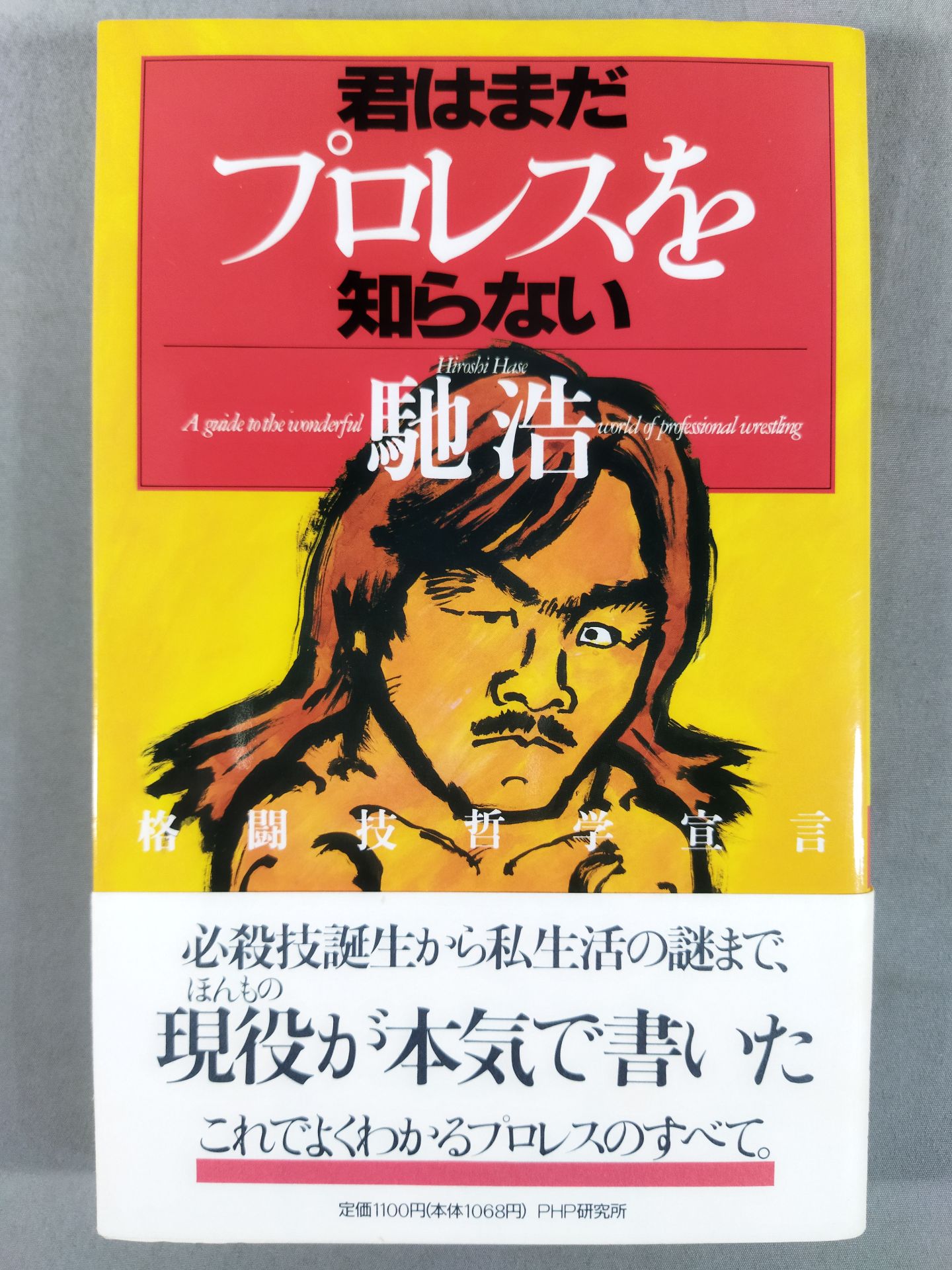 君はまだプロレスを知らない  格闘技哲学宣言