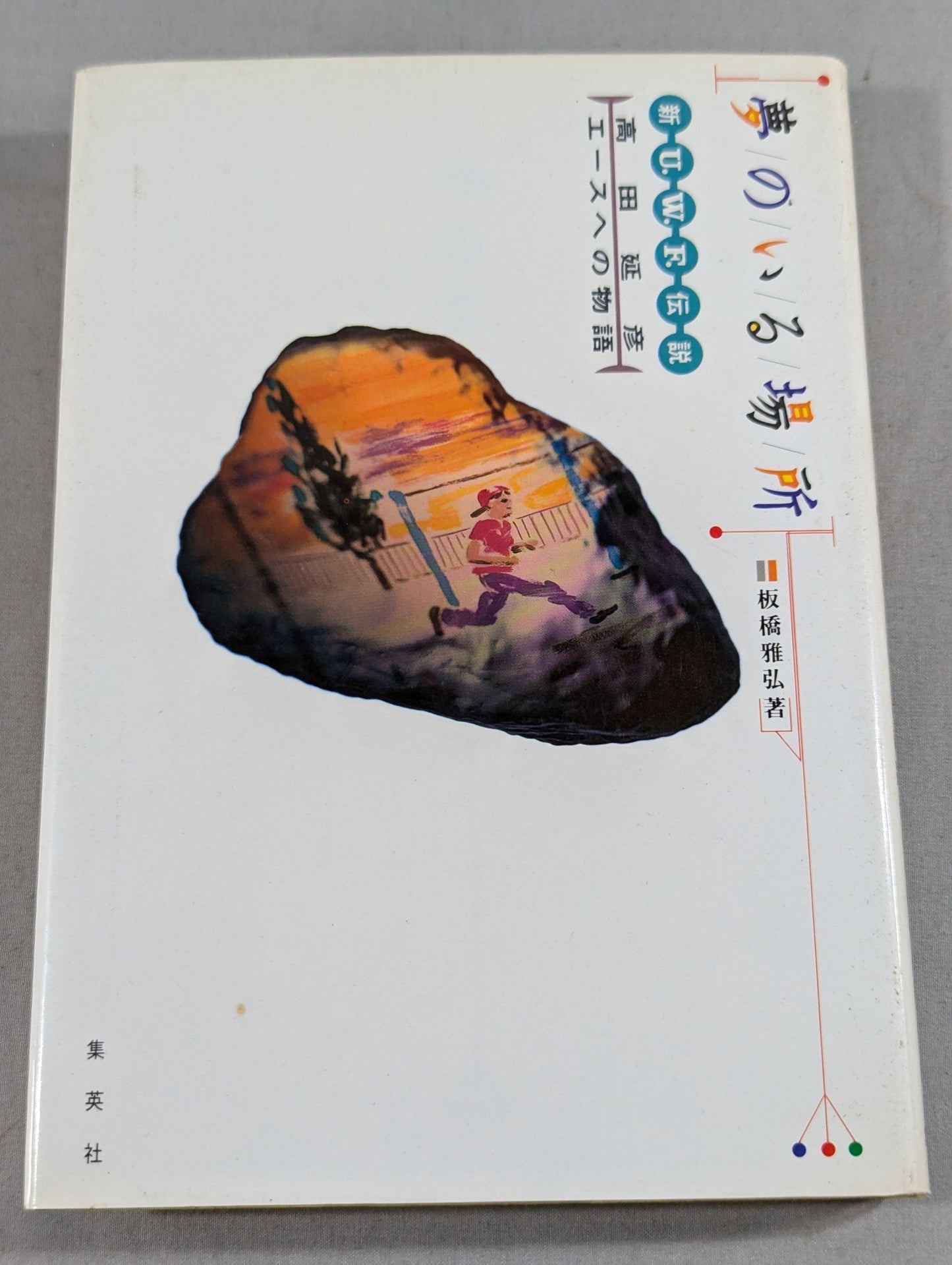 夢のいる場所 新U.W.F.伝説