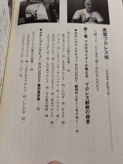 Fengyun Pro Wrestling  Castle Pro Wrestling  Definitive Guide
