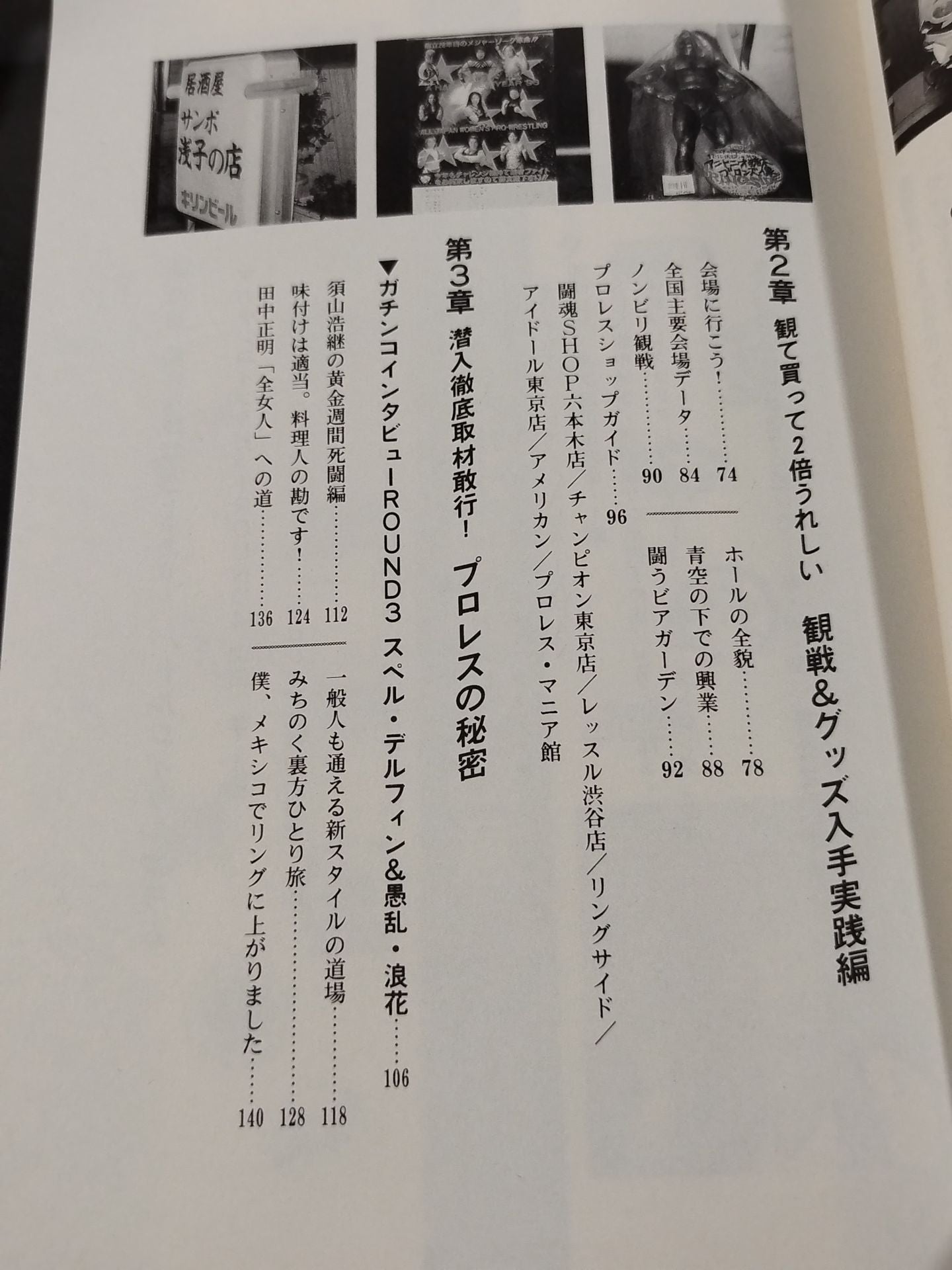 Fengyun Pro Wrestling  Castle Pro Wrestling  Definitive Guide