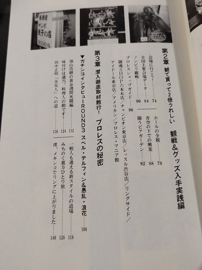 Fengyun Pro Wrestling  Castle Pro Wrestling  Definitive Guide