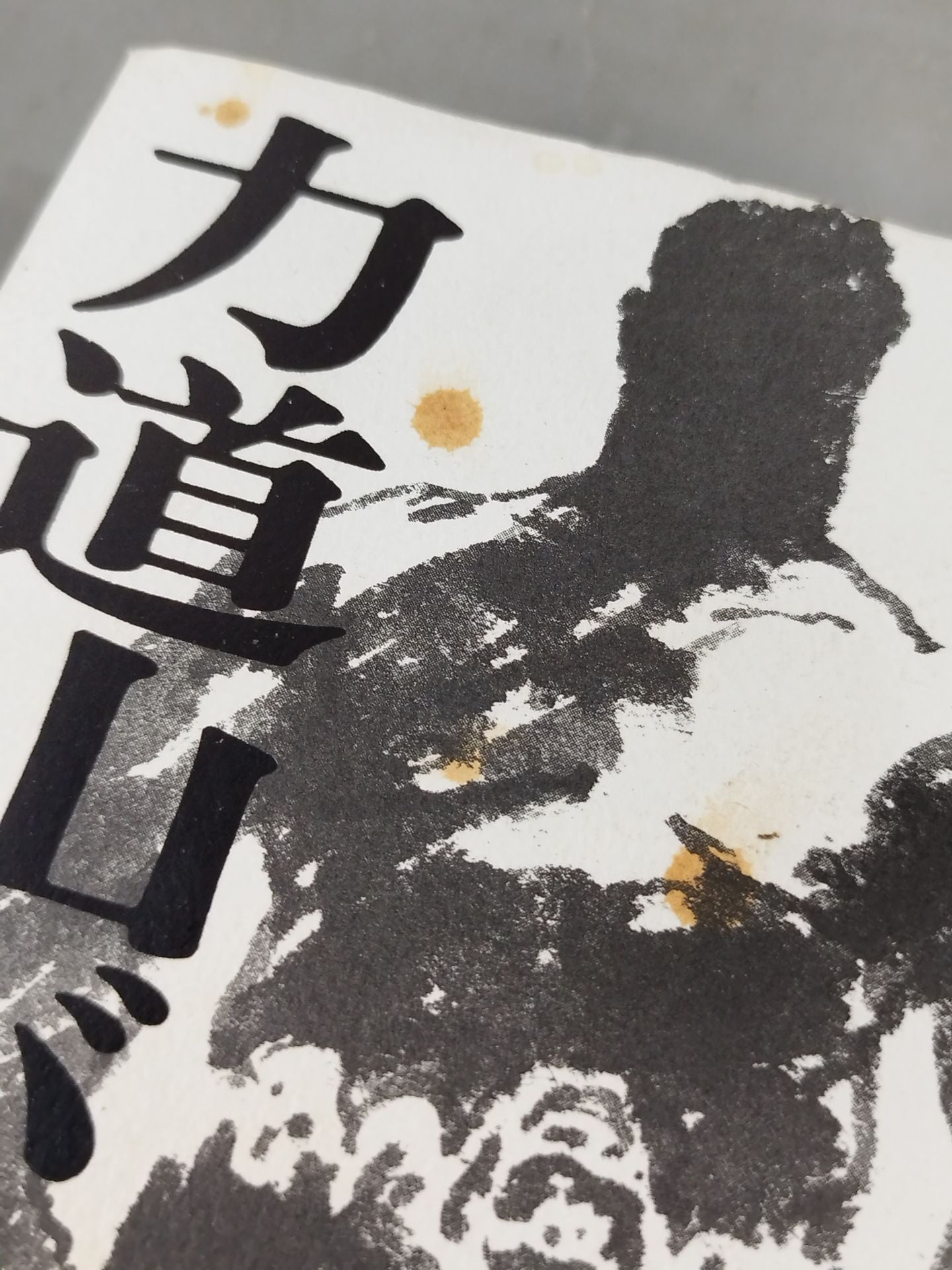 There was Rikidozan