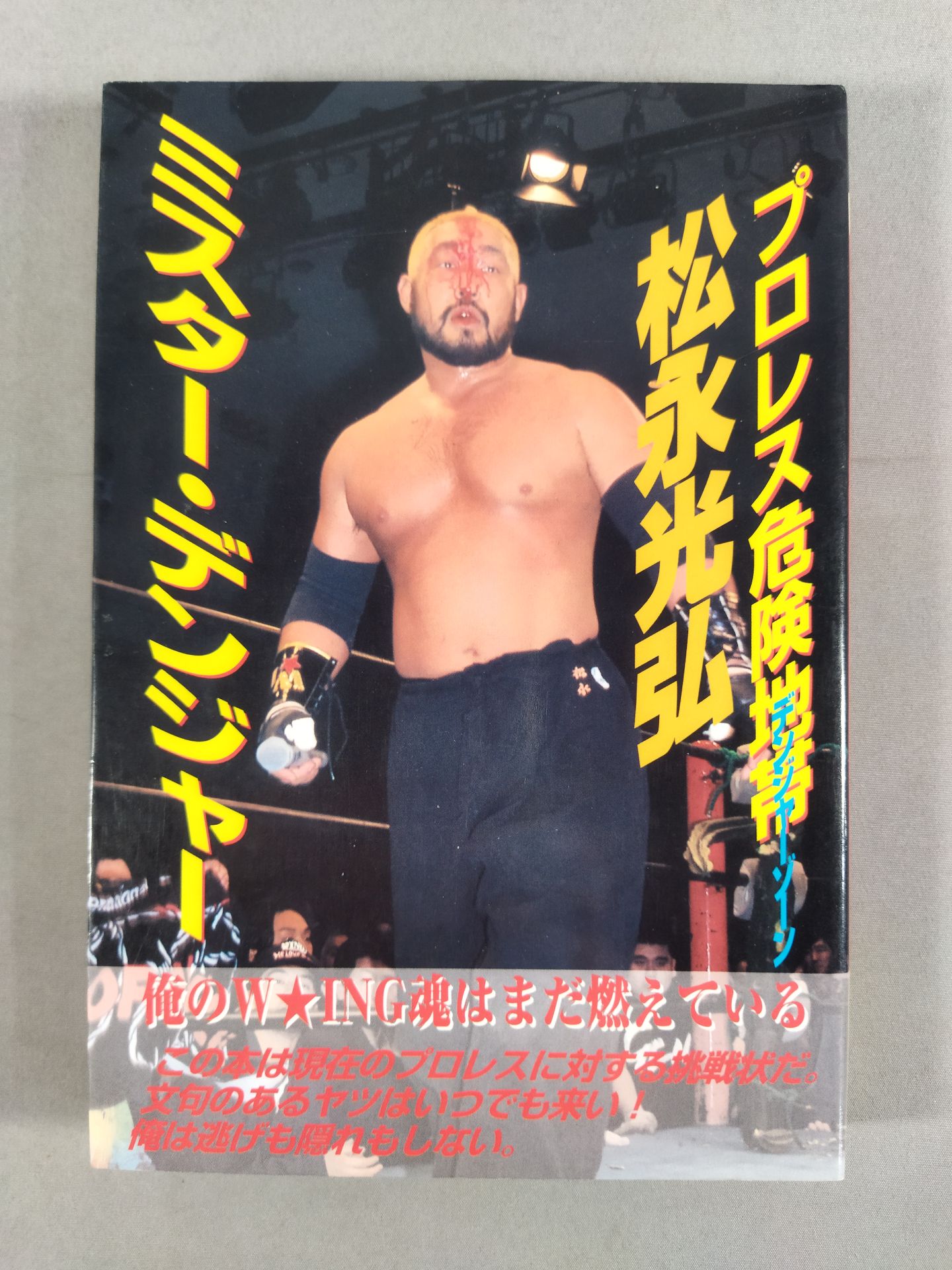 Mr. Danger Pro Wrestling Danger Zone