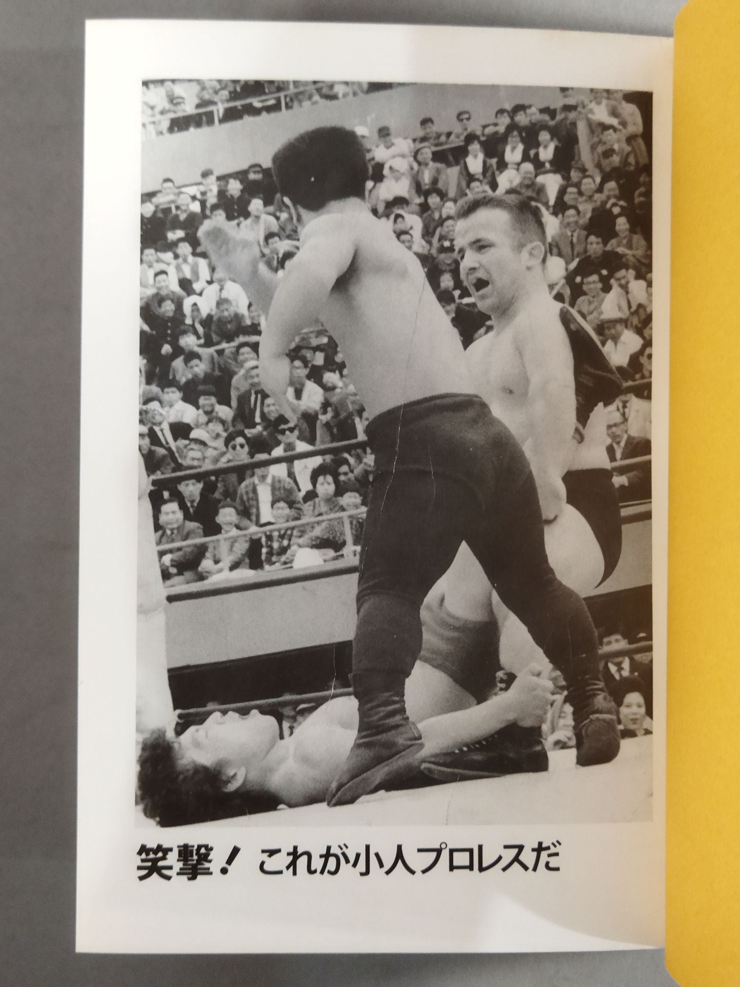 Laughter! This is dwarf Pro Wrestling