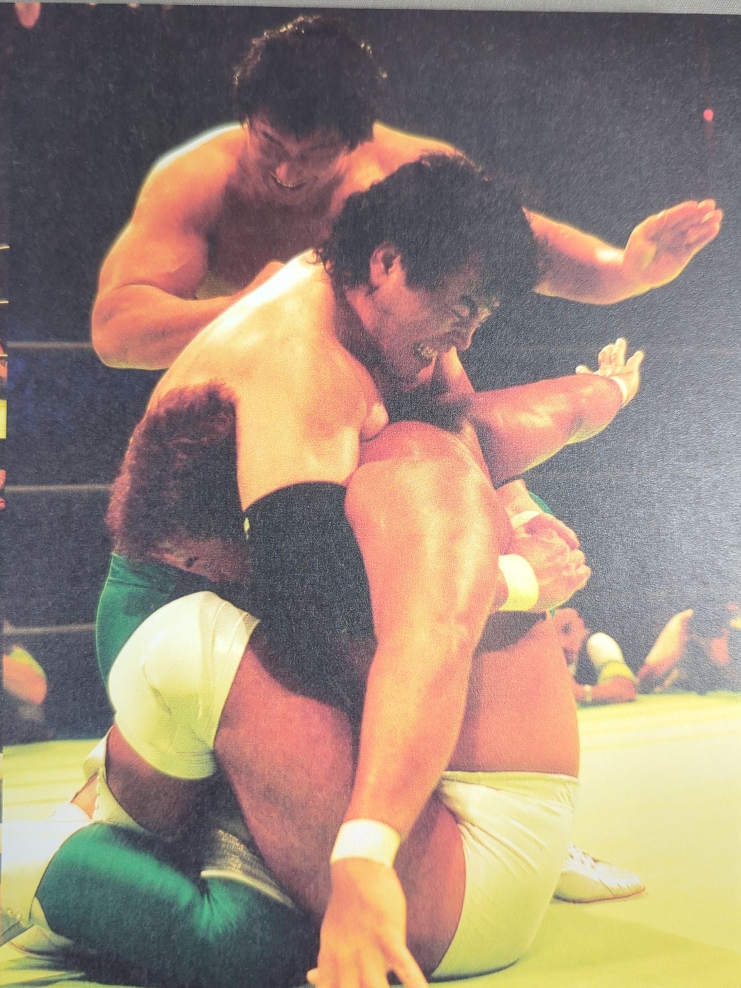 THIS IS NOAH! Pro-wrestling  Noah Official 'Behind' Pamphlet