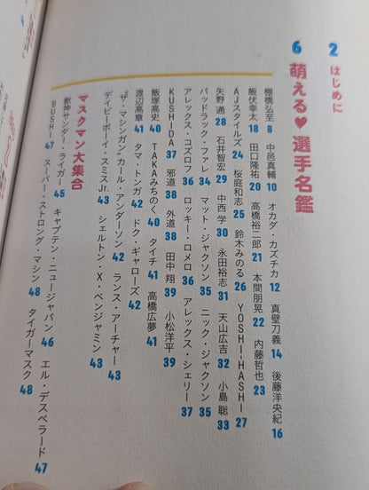 Moe Pro Pro Wrestling  Guidebook for Girls