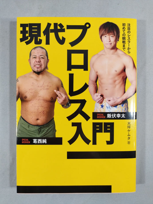 Introduction to Modern Pro Wrestling