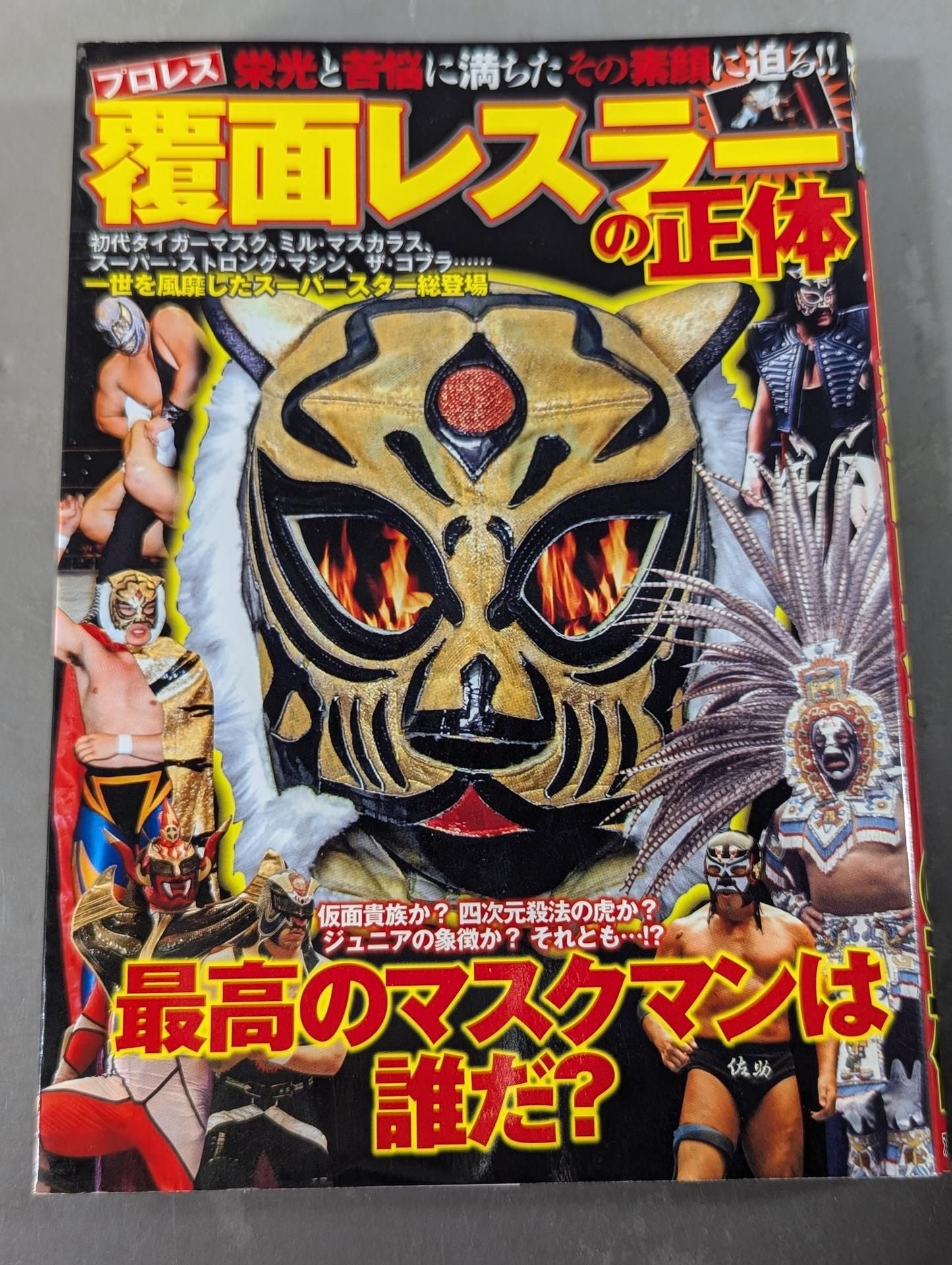 プロレス 覆面レスラーの正体