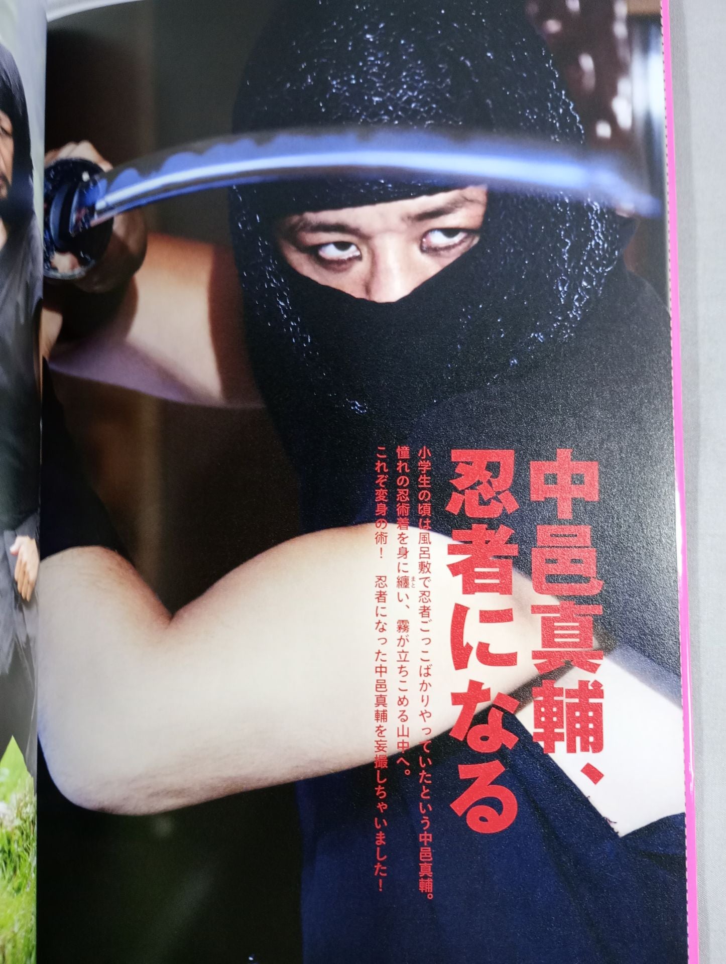 新品未使用✨中邑真輔 タペストリー もえプロ♡スペシャル 中邑真輔 – 闘道館