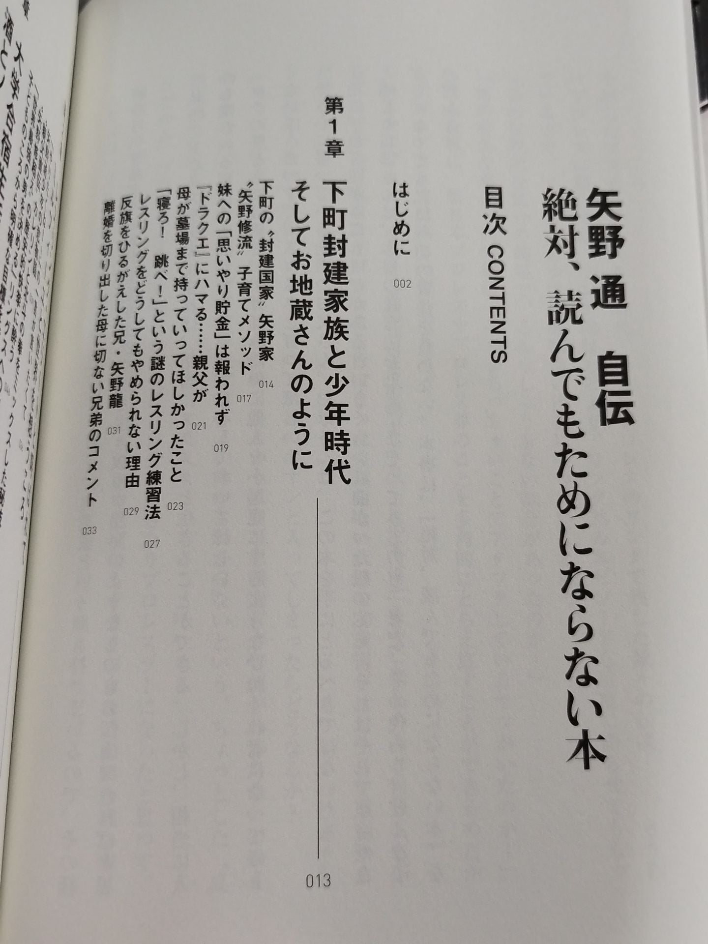 矢野通自伝 絶対、読んでもためにならない本