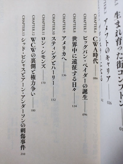 ベイダータイム 皇帝戦士の真実