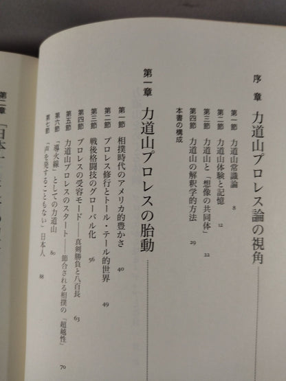 力道山をめぐる体験 プロレスから見るメディアと社会