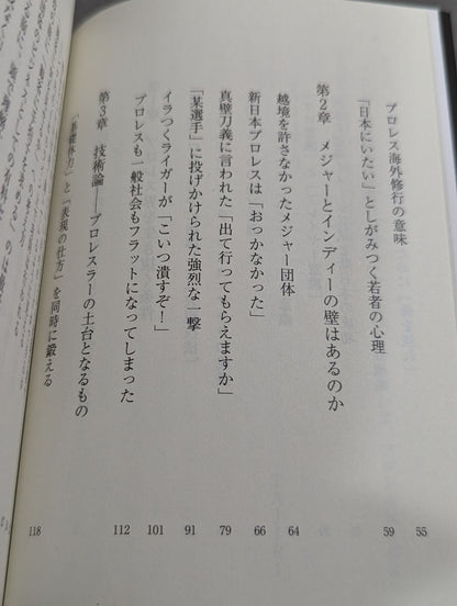 真・プロレスラーは観客に何を見せているのか 30年やってわかったこと