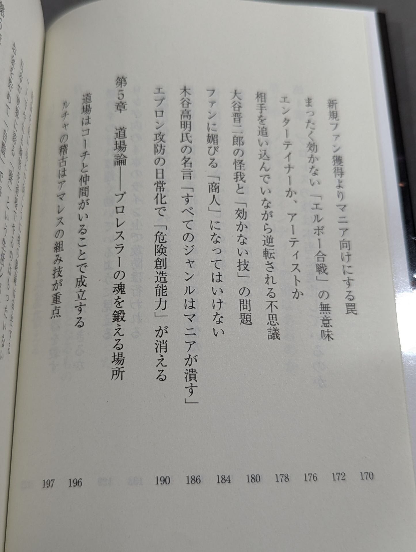 真・プロレスラーは観客に何を見せているのか 30年やってわかったこと