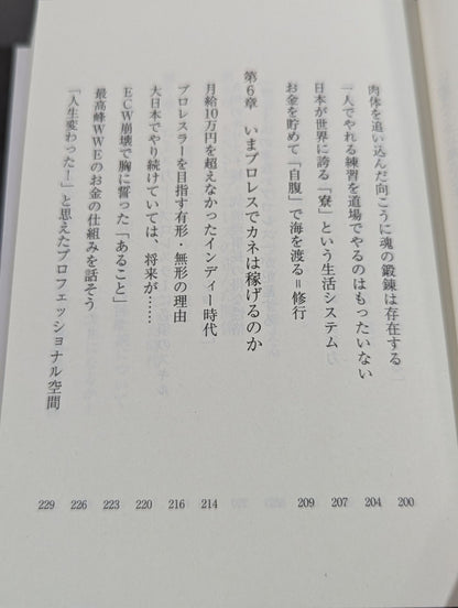 真・プロレスラーは観客に何を見せているのか 30年やってわかったこと