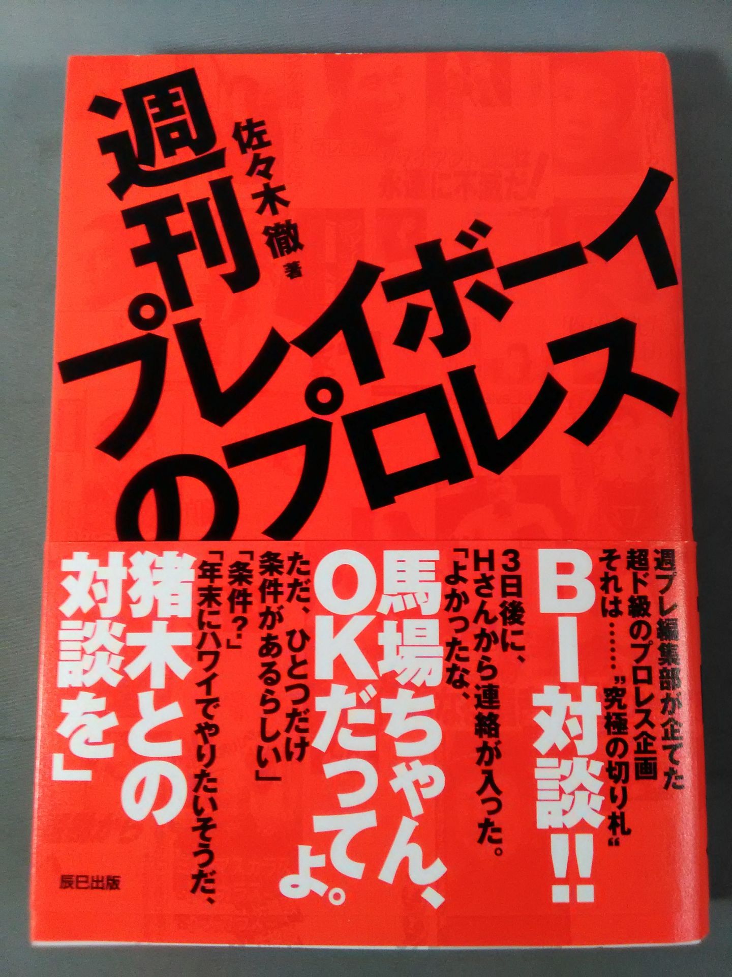 週刊プレイボーイのプロレス