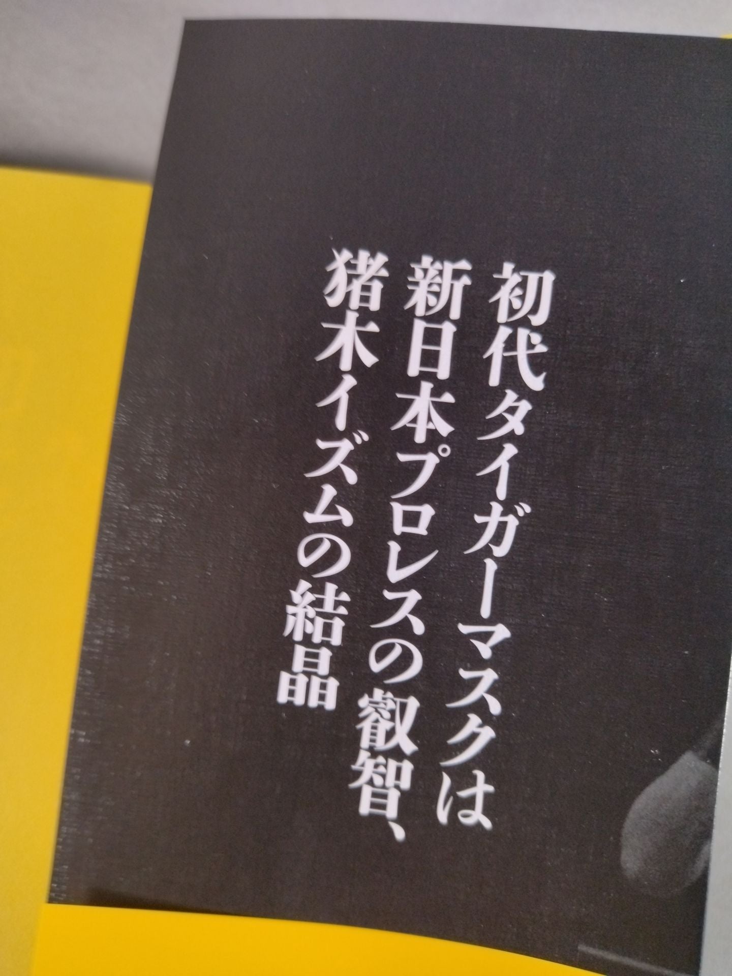 Testimony: The First Tiger Mask: The Truth of 40 Years