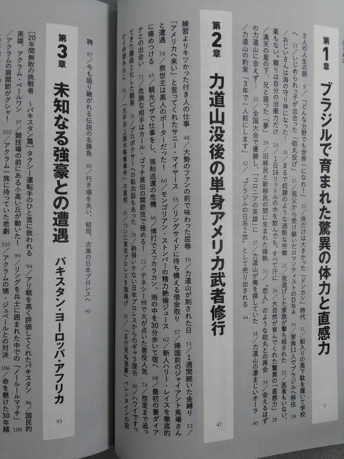 Antonio Inoki  World Fighting Spirit Secret