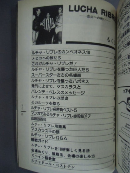 トリプルクロス 電撃プロレス=格闘技読本
