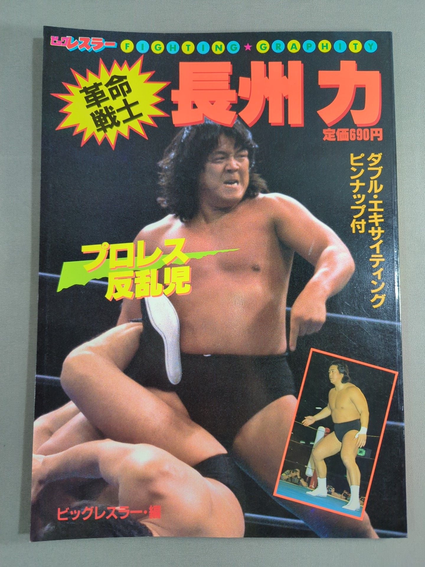 Revolutionary Warrior Riki Choshu  Pro Wrestling Rebel