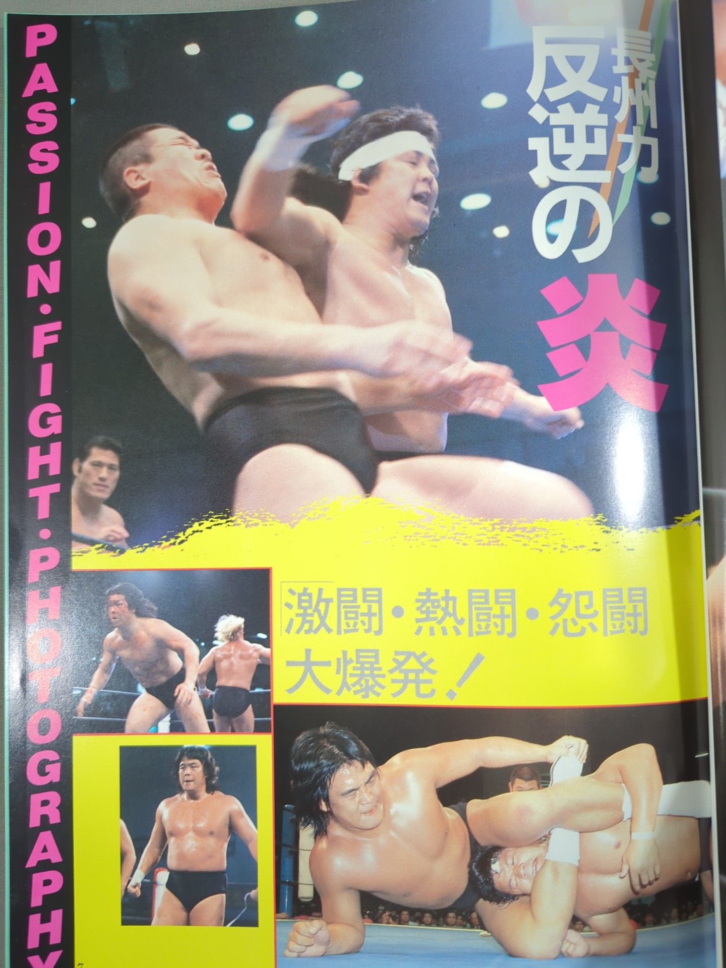 Revolutionary Warrior Riki Choshu  Pro Wrestling Rebel