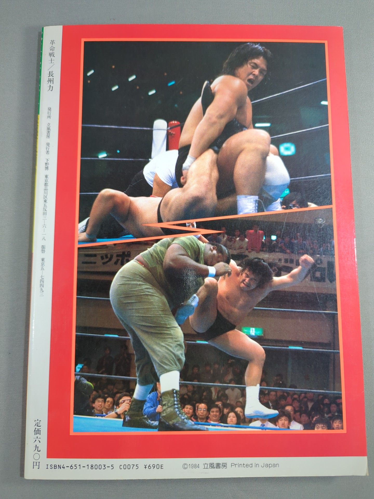 Revolutionary Warrior Riki Choshu  Pro Wrestling Rebel