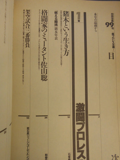 Bessatsu Takarajima 99 Super Pro Wrestling ! Battle Royale of Fighting Kings