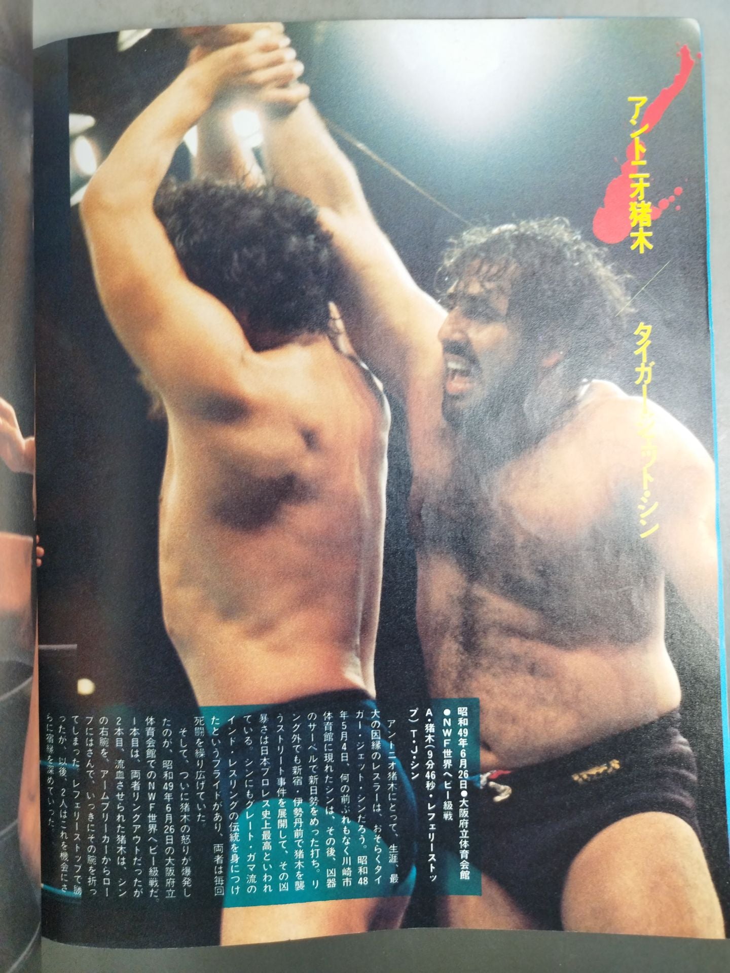 プロレス風雲録 リングにロマンを賭けた戦士たち