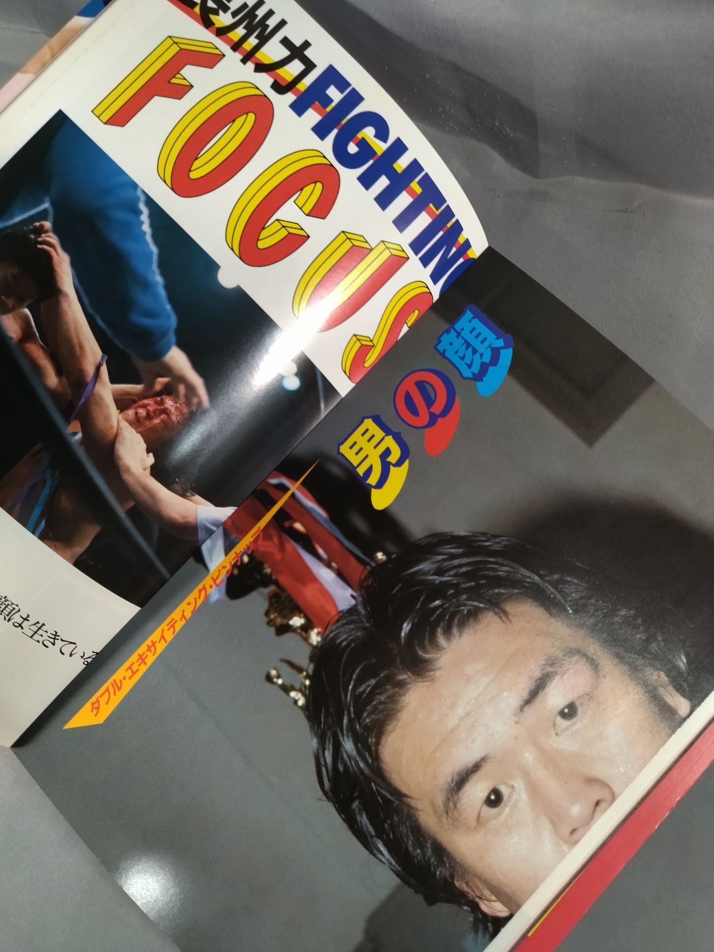 Revolutionary Warrior Riki Choshu  Pro Wrestling Rebel