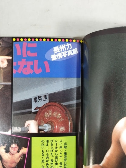 Revolutionary Warrior Riki Choshu  Pro Wrestling Rebel
