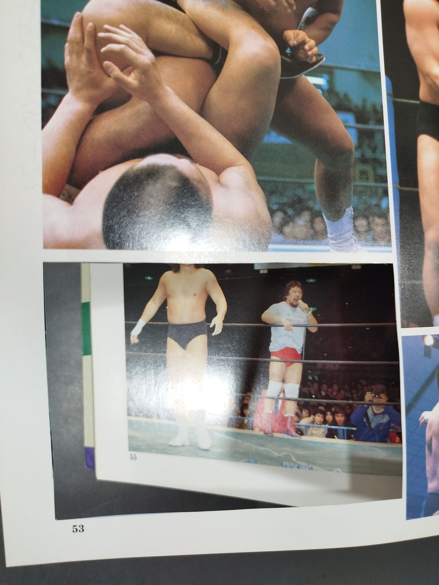 Revolutionary Warrior Riki Choshu  Pro Wrestling Rebel