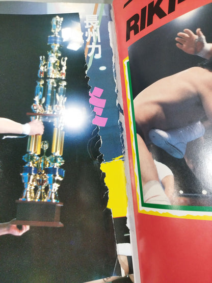 Revolutionary Warrior Riki Choshu  Pro Wrestling Rebel