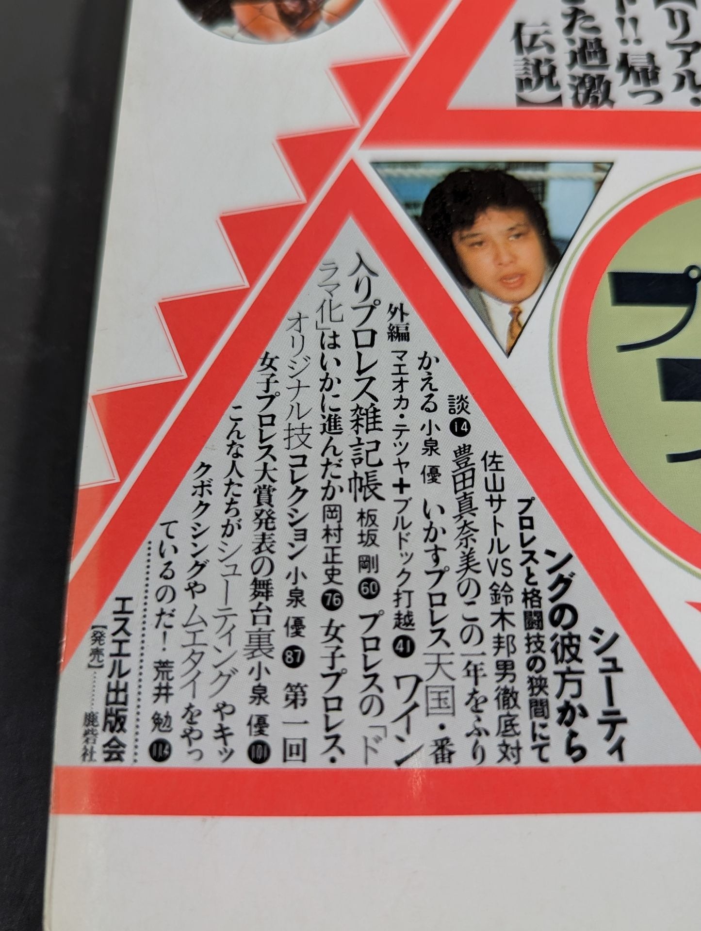 プロレス・ファン2