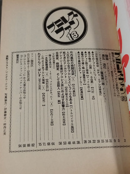 プロレス・ファン13