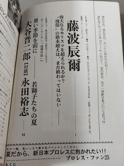 プロレス・ファン25