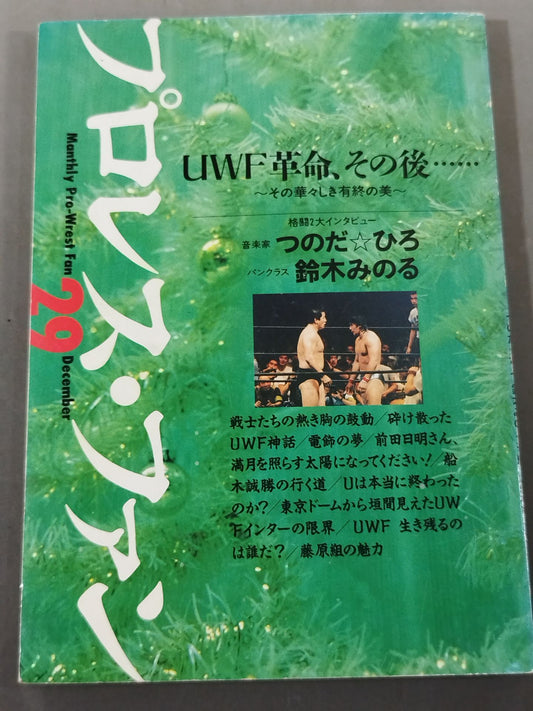 プロレス・ファン29