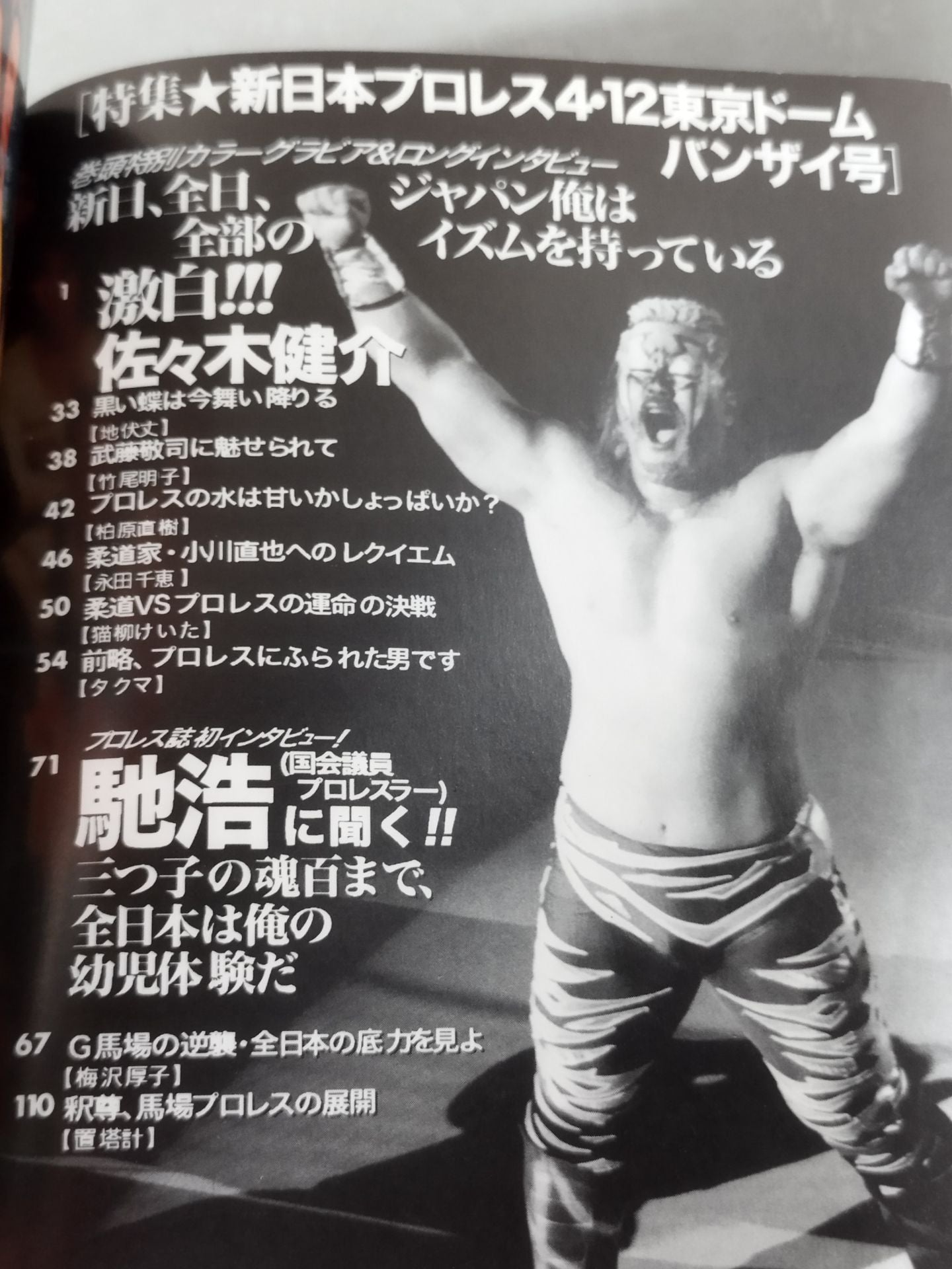 Pro Wrestling  Fan 30