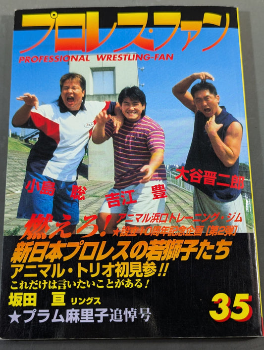 Pro Wrestling Fun 35
