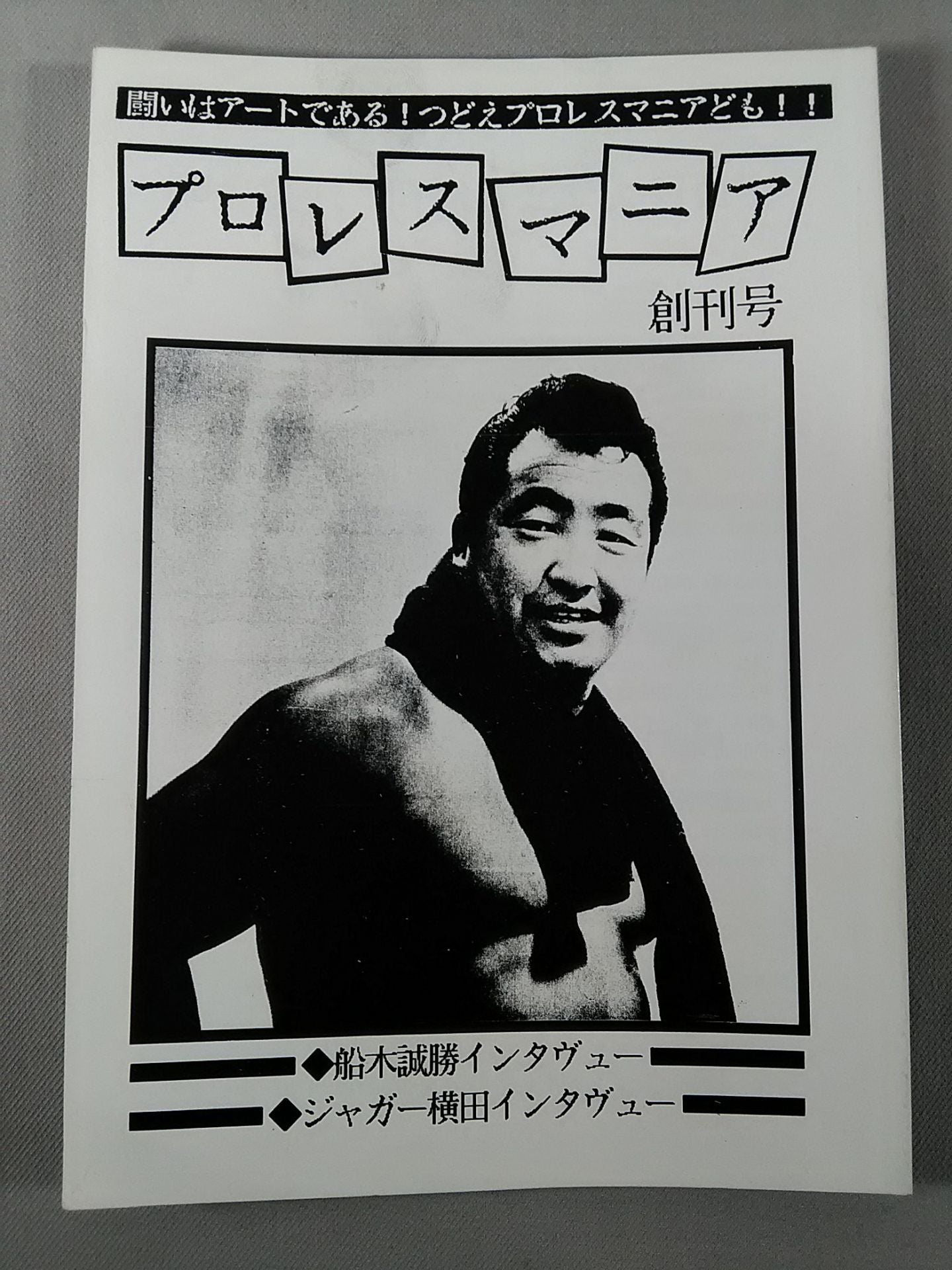 Pro Wrestling  Mania First Issue