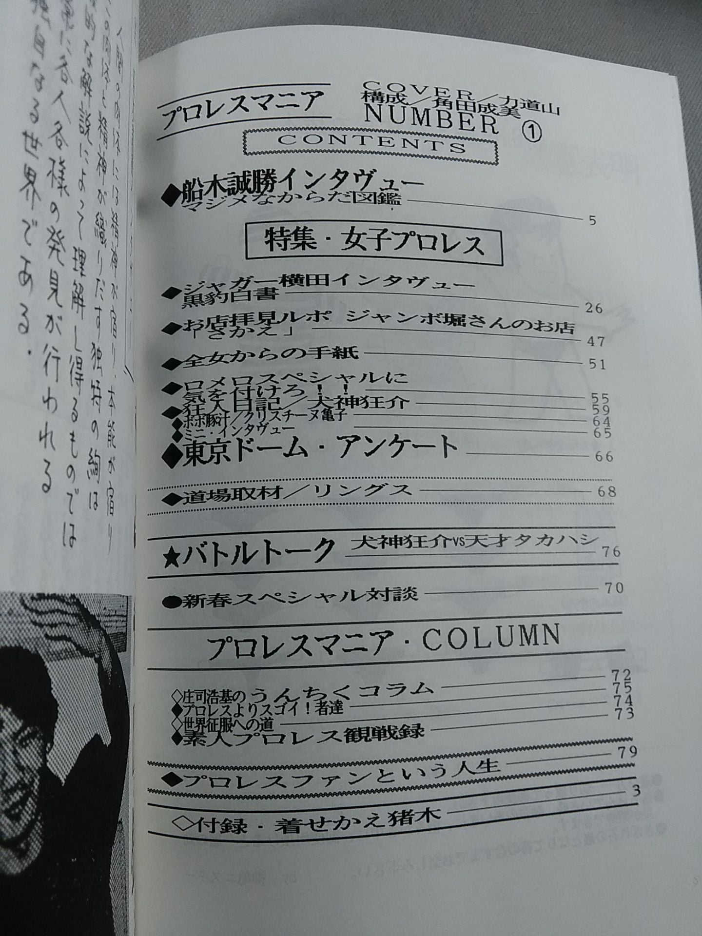 Pro Wrestling  Mania First Issue