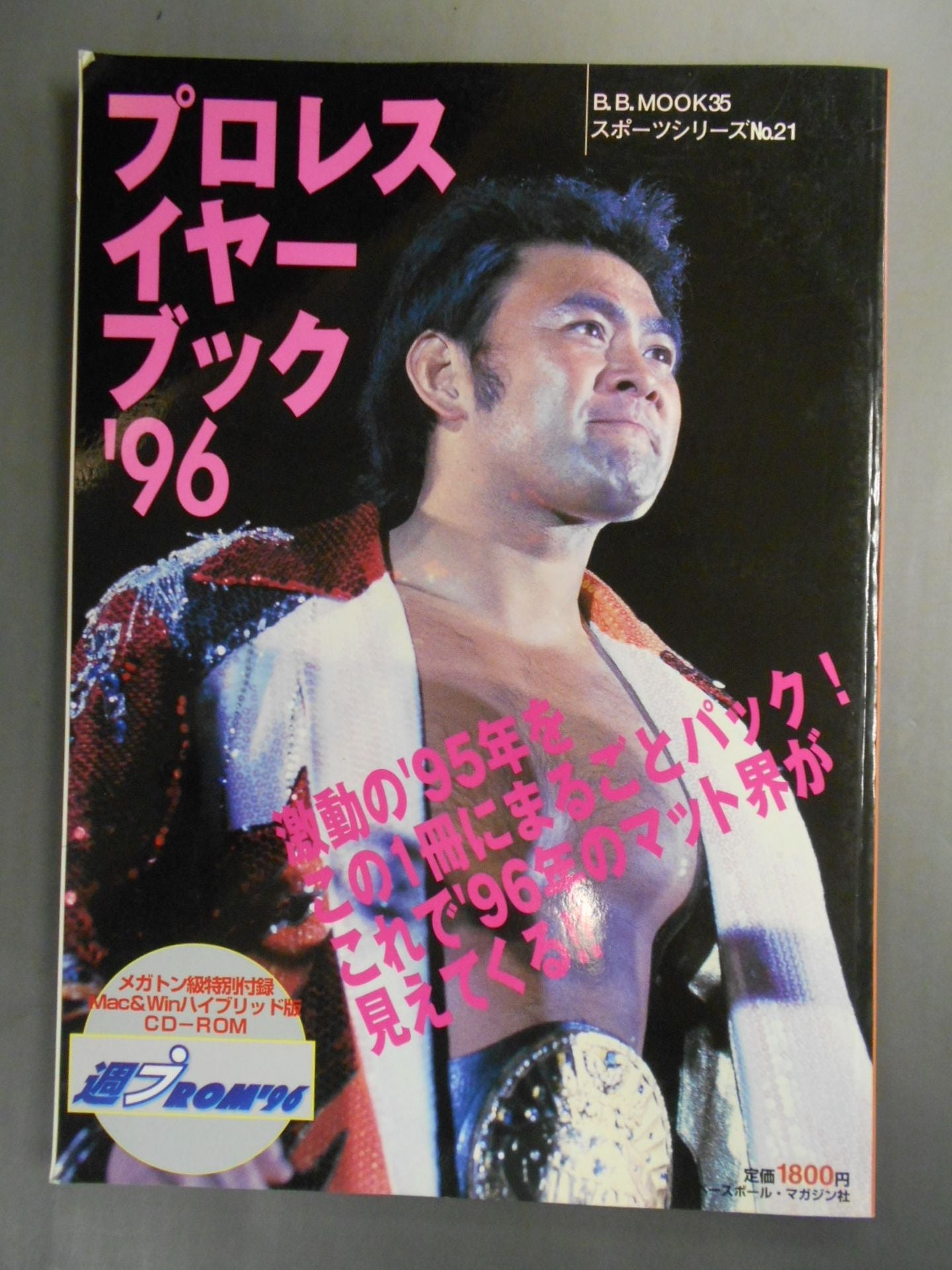 Pro Wrestling  Yearbook 96