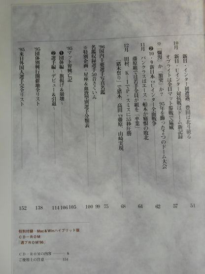 Pro Wrestling  Yearbook 96