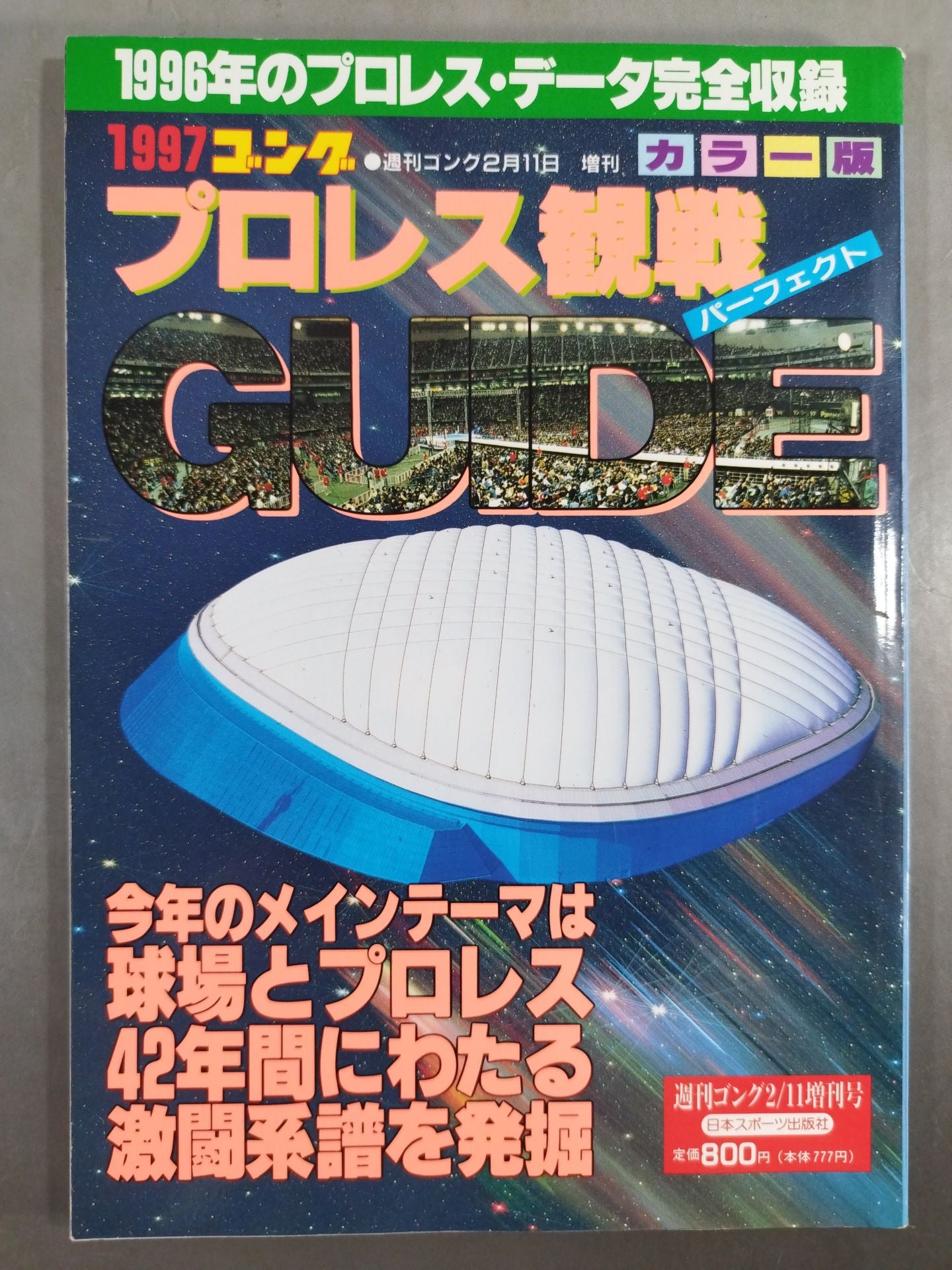 97 Gong Pro Wrestling Perfect Guide