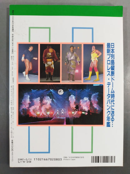 97 Gong Pro Wrestling Perfect Guide