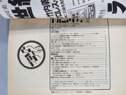 プロレス・ファン16