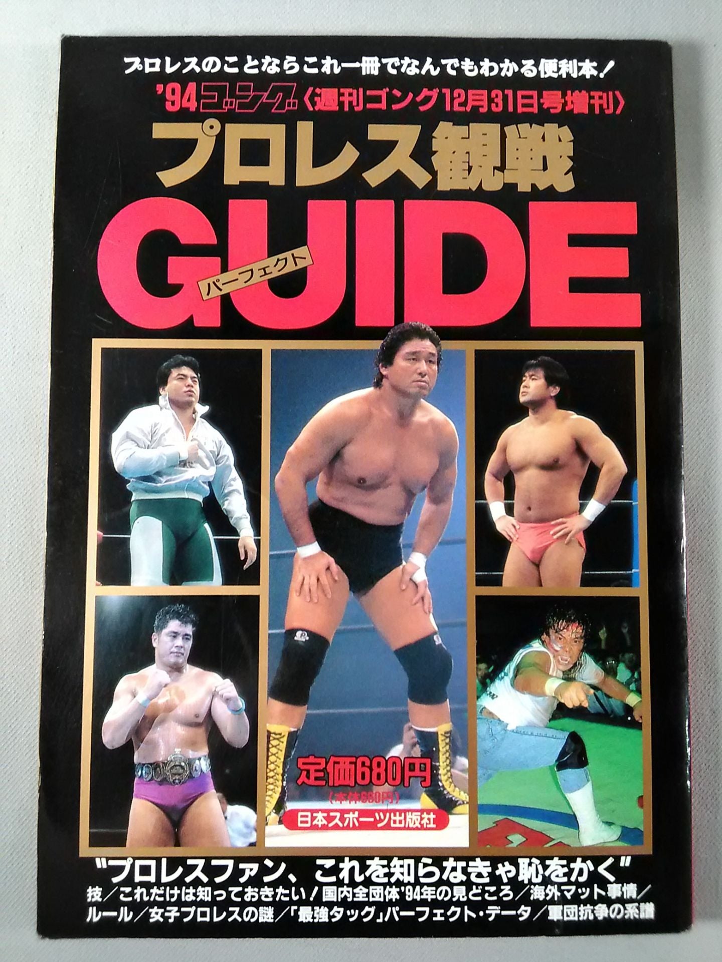 94ゴング プロレス観戦パーフェクトガイド