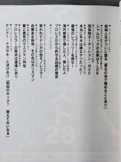 マニアが忘れた悦楽 気持ちいいプロレス