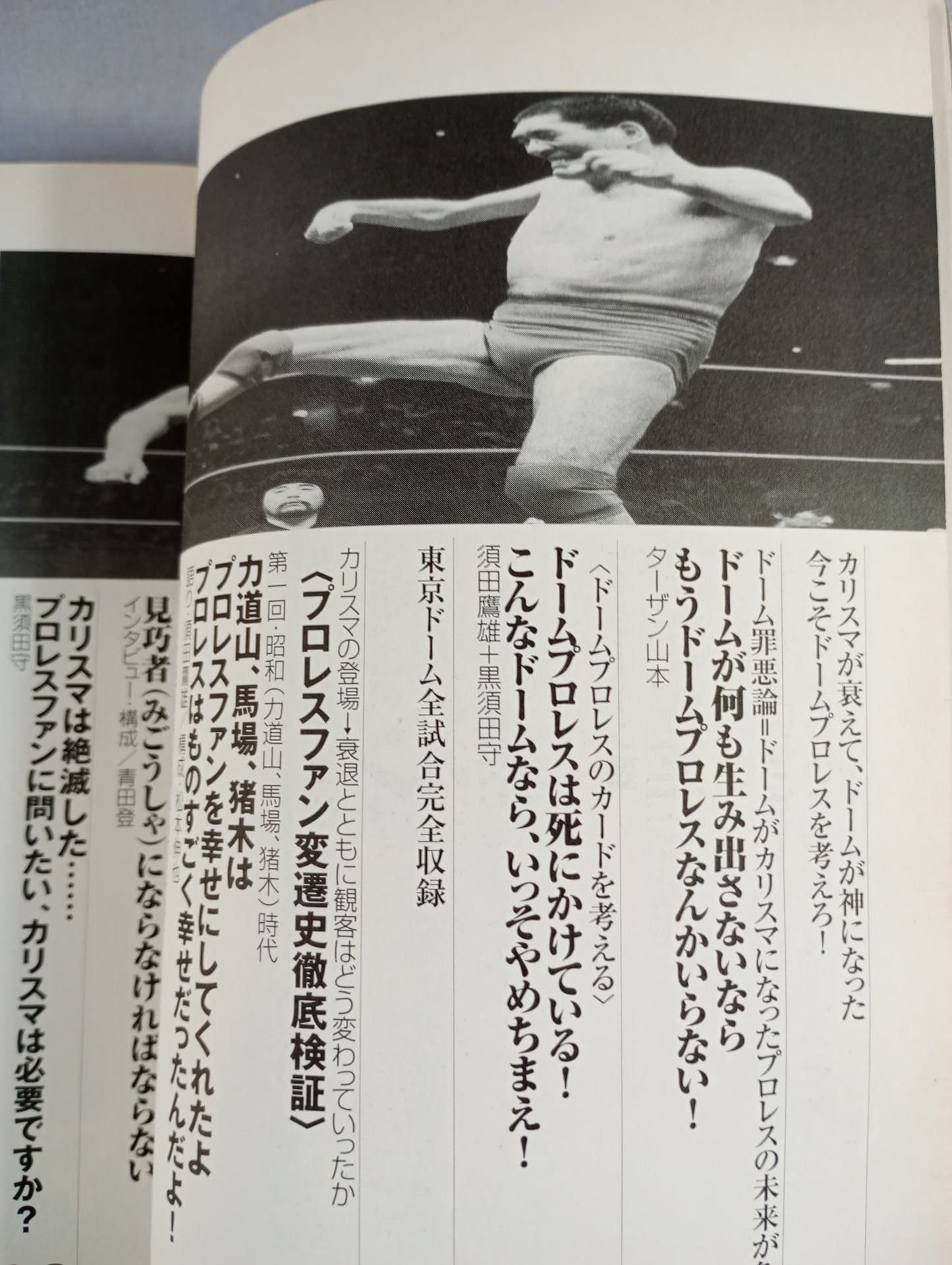 必殺！プロレス激本4 世紀末プロレス…カリスマのいない季節