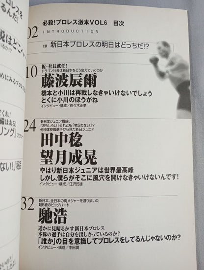 必殺！プロレス激本6 新日本プロレスの明日はどっちだ!?
