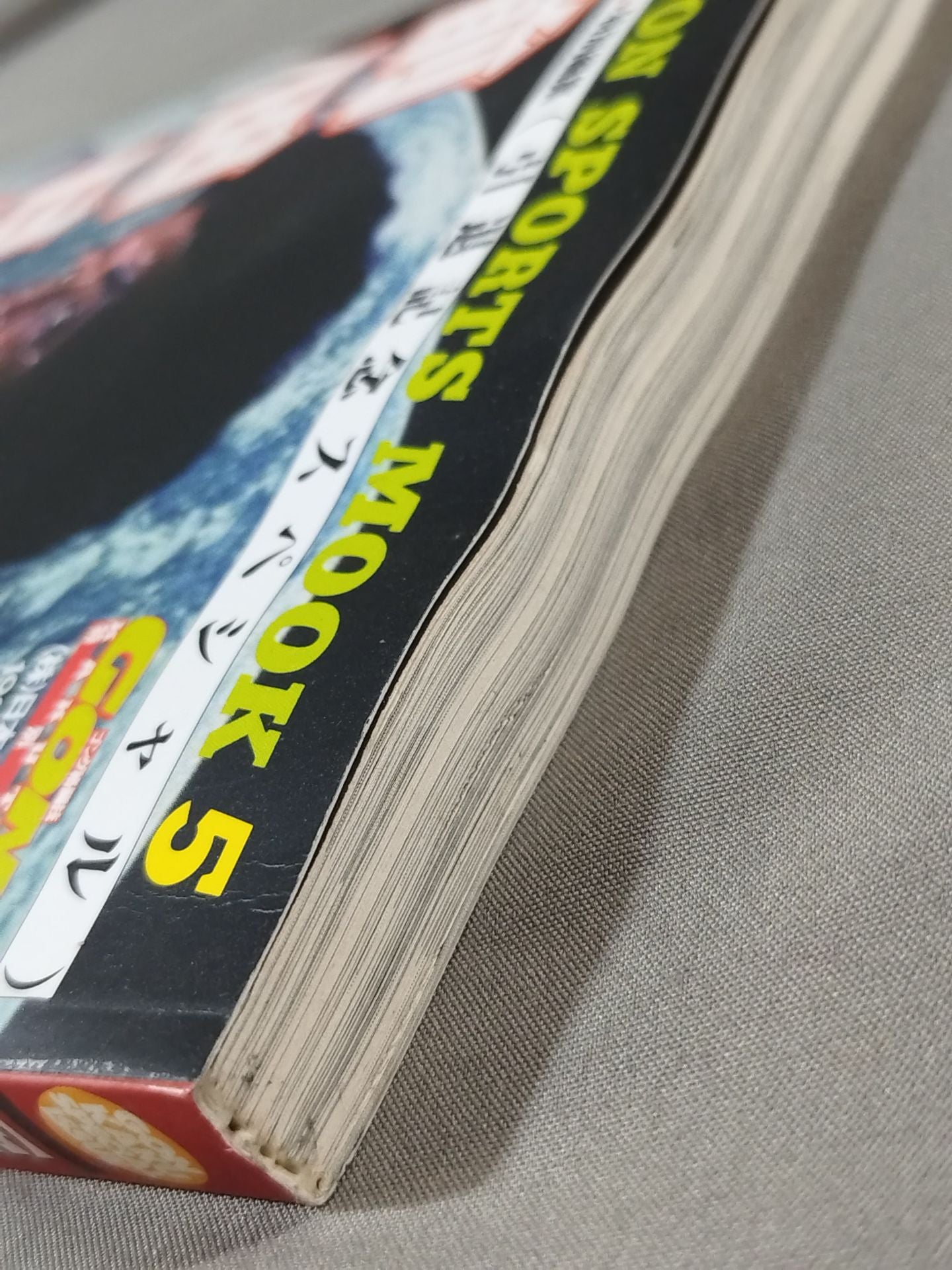 The perfect Akira Maeda  reader